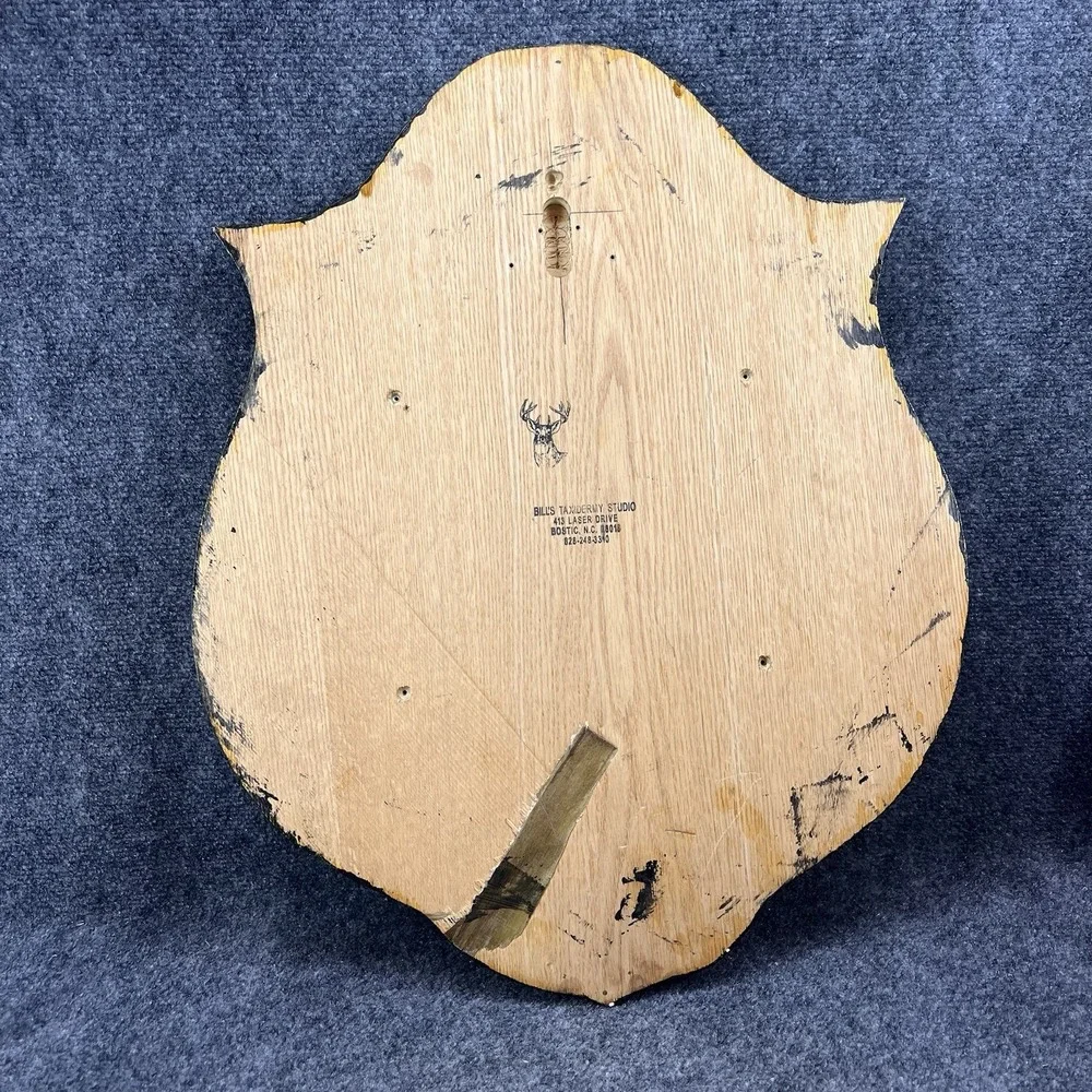 Large Wood Wooden Wall Plaque Panel Shield Taxidermy Deer Antler Mount Display
